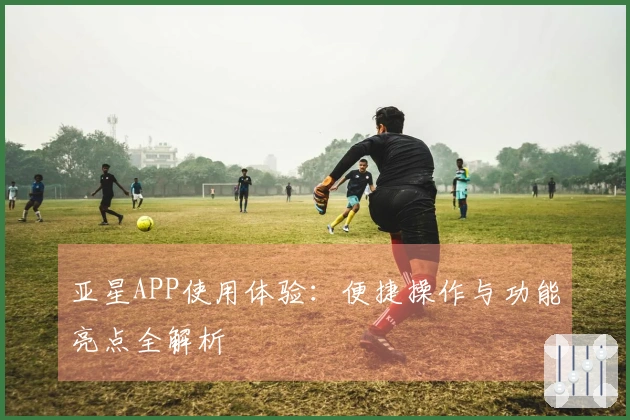 亚星APP使用体验：便捷操作与功能亮点全解析